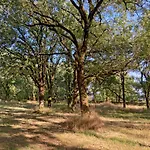 La Boca Noche D'hotes Et Frühstückspension