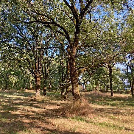 La Boca Noche D'hotes Et Отель типа 
