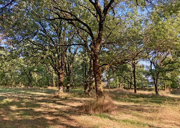 La Boca Noche D'hotes Et Bed & Breakfast
