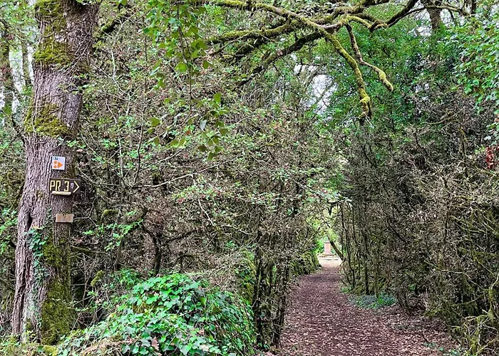 Bed & Breakfast La Boca Noche D'hotes Et Saint-Antonin