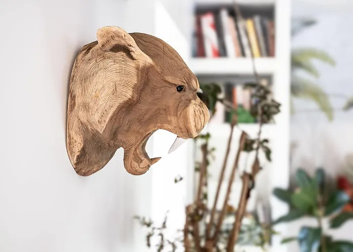 La Boca Noche D'hotes Et Saint-Antonin